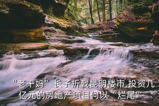 “老干媽”長子折戟昆明樓市,投資幾億元的房地產項目何以“爛尾”