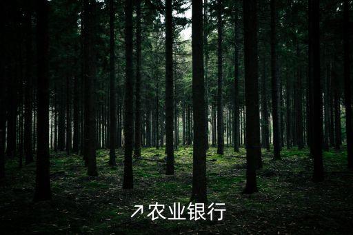 境內商業銀行的分支機構包括