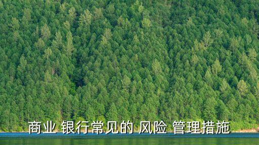 商業(yè) 銀行常見的 風險 管理措施