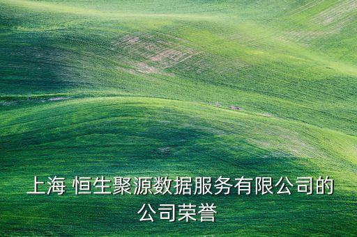  上海 恒生聚源數據服務有限公司的公司榮譽