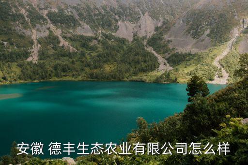 安徽 德豐生態農業有限公司怎么樣