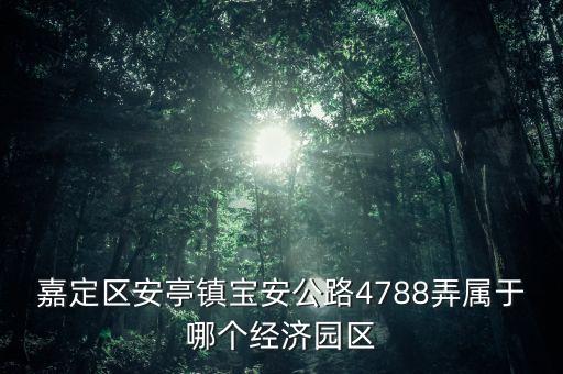 嘉定區安亭鎮寶安公路4788弄屬于哪個經濟園區