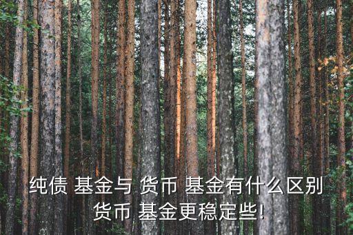 債券和貨幣基金哪個好,債券型和貨幣型基金的區別