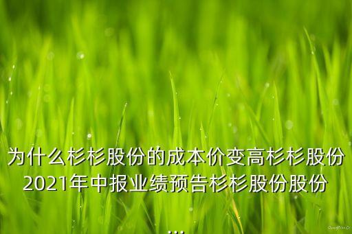 為什么杉杉股份的成本價變高杉杉股份2021年中報業績預告杉杉股份股份...