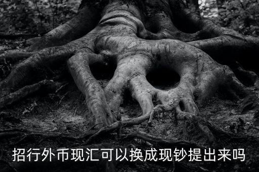 招行外幣現匯可以換成現鈔提出來嗎