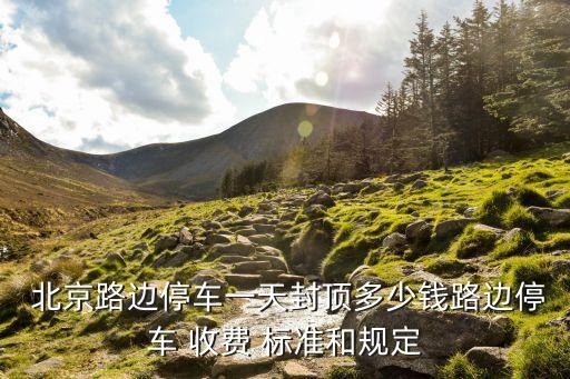  北京路邊停車一天封頂多少錢路邊停車 收費 標準和規定