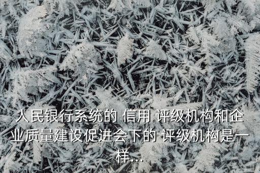上海市信貸市場企業主體信用評級工作的通知