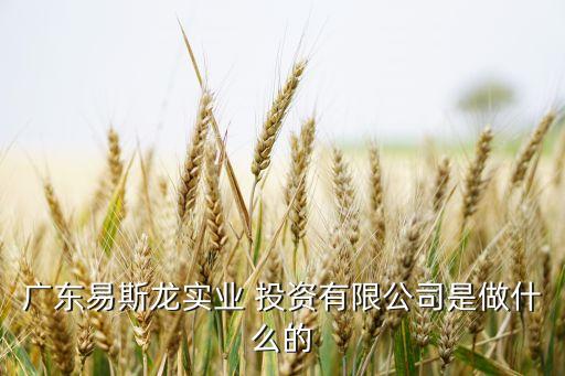 廣東易斯龍實業 投資有限公司是做什么的