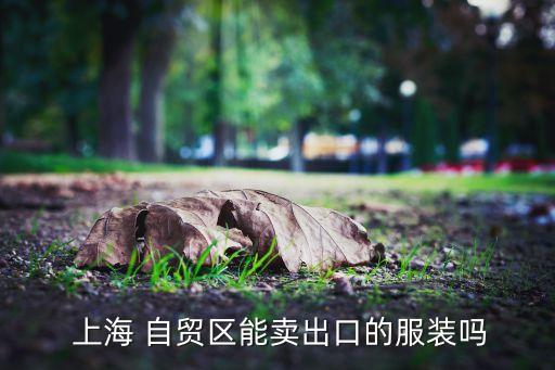  上海 自貿區能賣出口的服裝嗎