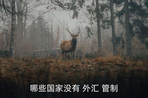 中國會取消外匯管制嗎,取消經常項目的外匯管制