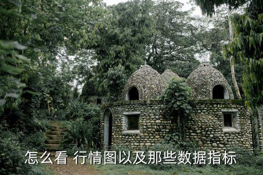 怎么看 行情圖以及那些數據指標