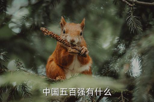 遼寧成大貿易發展有限公司