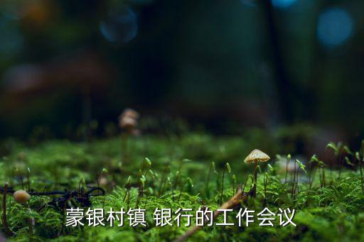 蒙銀村鎮 銀行的工作會議