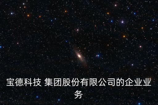 寶德科技 集團股份有限公司的企業業務