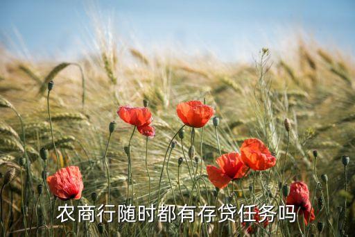 農商行隨時都有存貸任務嗎