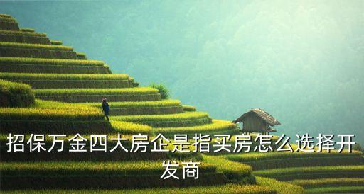 招保萬金四大房企是指買房怎么選擇開發商