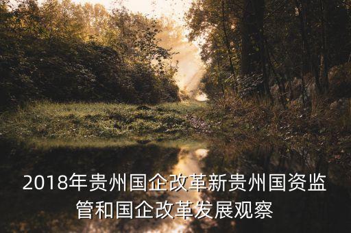 2018年貴州國企改革新貴州國資監管和國企改革發展觀察