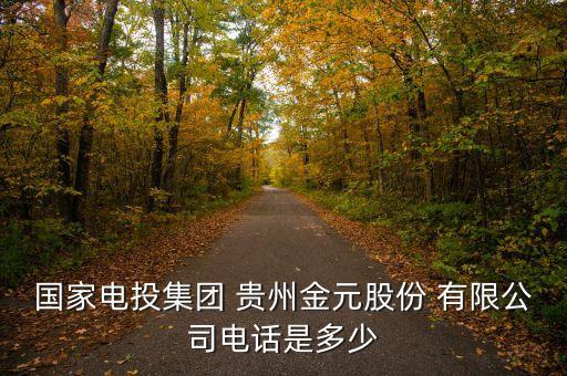 國家電投集團 貴州金元股份 有限公司電話是多少