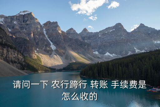 請問一下 農行跨行 轉賬 手續費是怎么收的