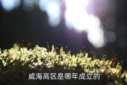  威海高區是哪年成立的