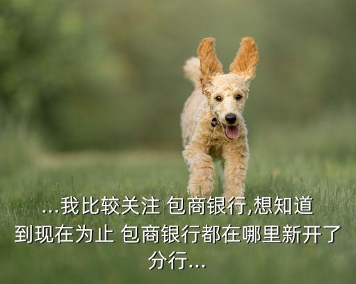 ...我比較關注 包商銀行,想知道到現在為止 包商銀行都在哪里新開了分行...