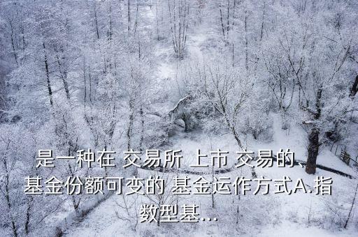 是一種在 交易所 上市 交易的、 基金份額可變的 基金運作方式A.指數型基...