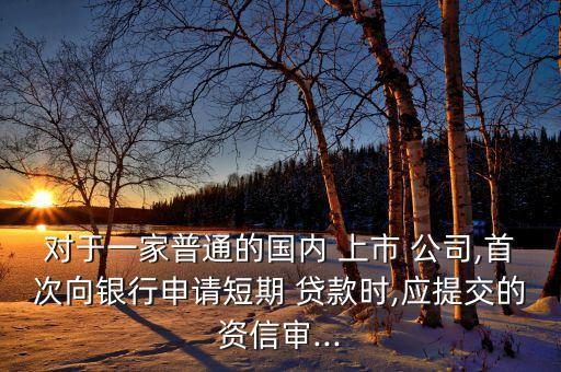 對于一家普通的國內(nèi) 上市 公司,首次向銀行申請短期 貸款時,應提交的資信審...
