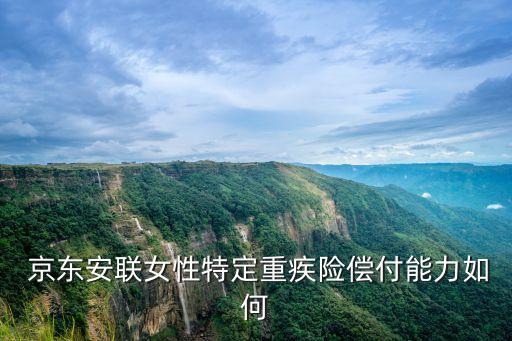 京東互聯網財產保險公司,京東安聯財產保險公司怎么樣