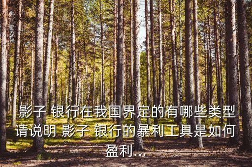 影子銀行產生發展膨脹