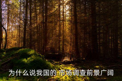 中國市場發展,制氧機行業中國市場發展