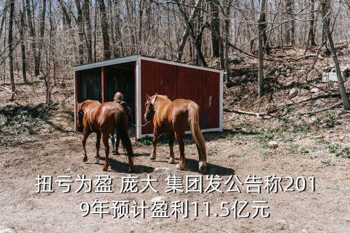 扭虧為盈 龐大 集團發公告稱2019年預計盈利11.5億元