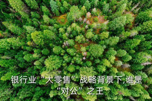  銀行業“大零售”戰略背景下,誰是“對公”之王