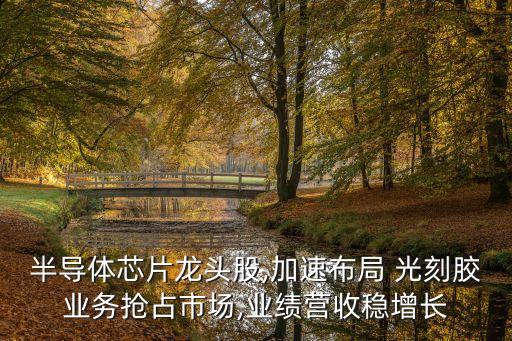 半導體芯片龍頭股,加速布局 光刻膠業務搶占市場,業績營收穩增長