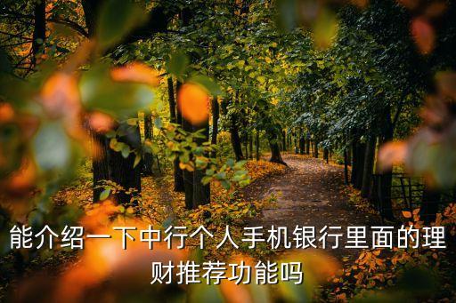中國銀行資產配置案例,獲取中國銀行資產配置策略的路徑有哪些
