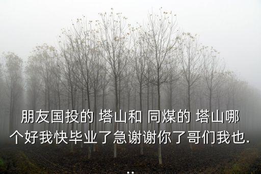 朋友國投的 塔山和 同煤的 塔山哪個好我快畢業了急謝謝你了哥們我也...
