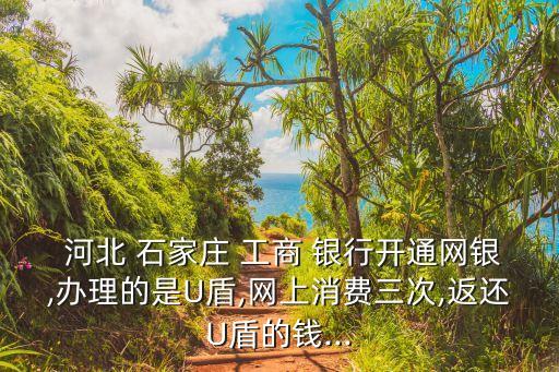  河北 石家莊 工商 銀行開通網銀,辦理的是U盾,網上消費三次,返還U盾的錢...