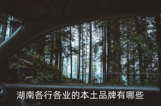 湖南各行各業的本土品牌有哪些
