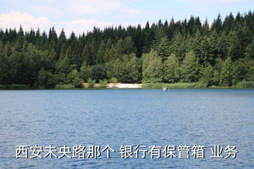 銀行保險箱業務網點,保險箱業務哪家銀行有