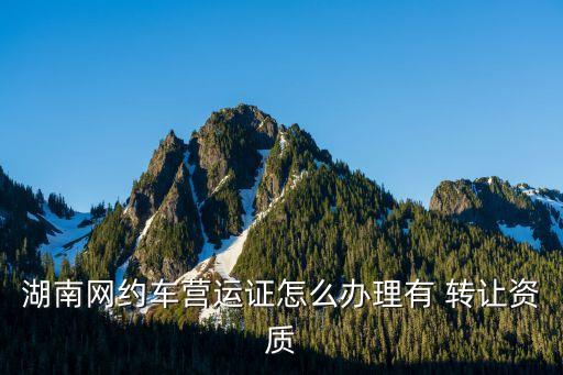 開元汽車運輸公司轉讓,汽車運輸公司轉讓協議完整版