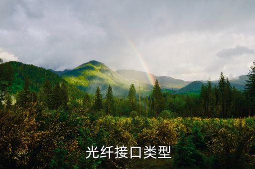  光纖接口類(lèi)型