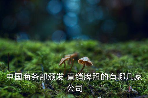 中國商務部頒發 直銷牌照的有哪幾家 公司