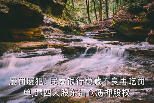 民泰天津貴金屬經營有限公司武漢分公司