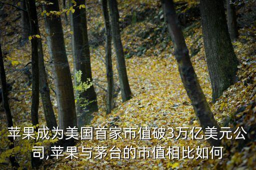蘋(píng)果成為美國(guó)首家市值破3萬(wàn)億美元公司,蘋(píng)果與茅臺(tái)的市值相比如何