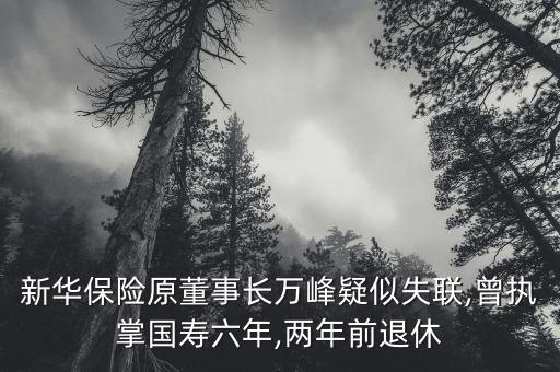 新華保險原董事長萬峰疑似失聯,曾執掌國壽六年,兩年前退休