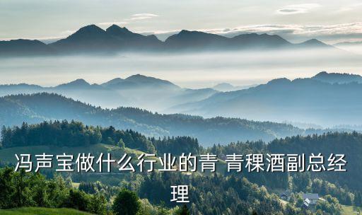 馮聲寶做什么行業的青 青稞酒副總經理