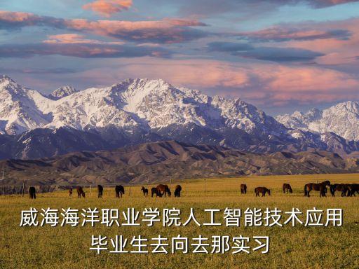  威海海洋職業學院人工智能技術應用畢業生去向去那實習