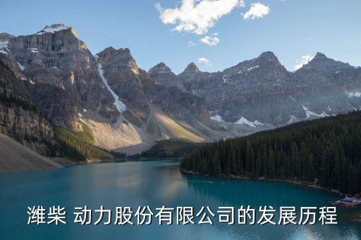  濰柴 動力股份有限公司的發展歷程