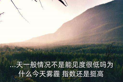 ...天一般情況不是能見度很低嗎為什么今天霧霾 指數還是挺高
