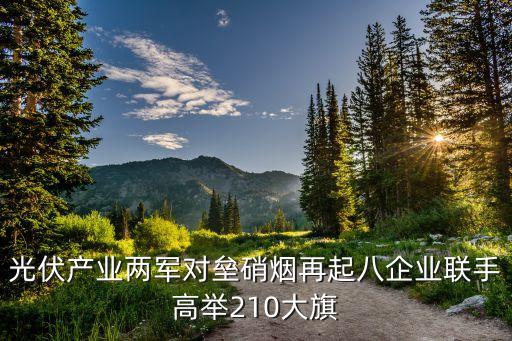 光伏產業兩軍對壘硝煙再起八企業聯手高舉210大旗