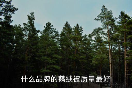 上海天祥絨業有限公司,上海辰華絨業有限公司